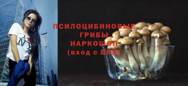 винт Магас