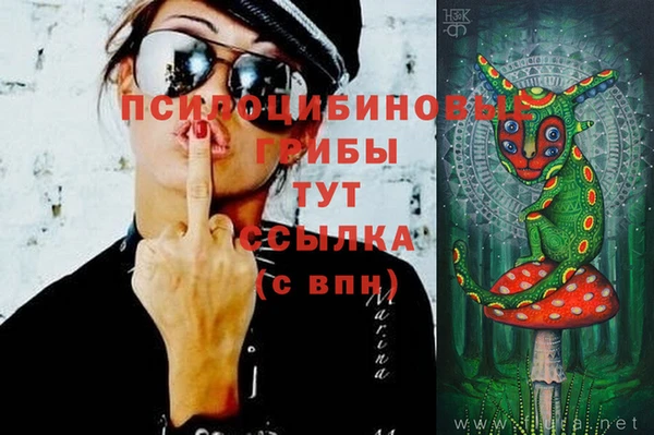 2c-b Магадан