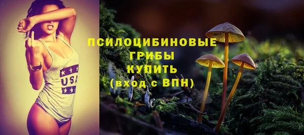 твердый Лиски