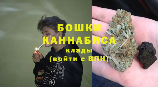 твердый Лиски